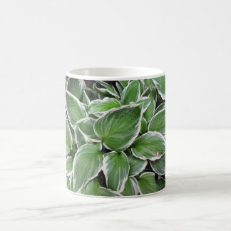 Caneca De Café Hosta Leaves