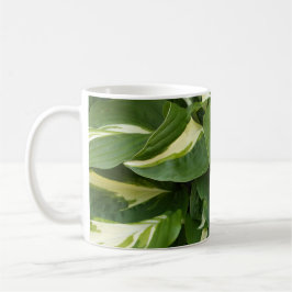 Caneca De Café Hosta Leaves
