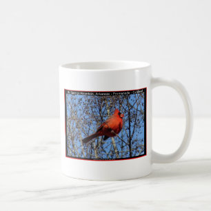 Caneca De Café Hot Springs Mountain Promenade Presentes Cardinal