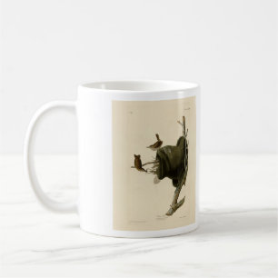 Caneca De Café House Wren from Audubon's Birds of America