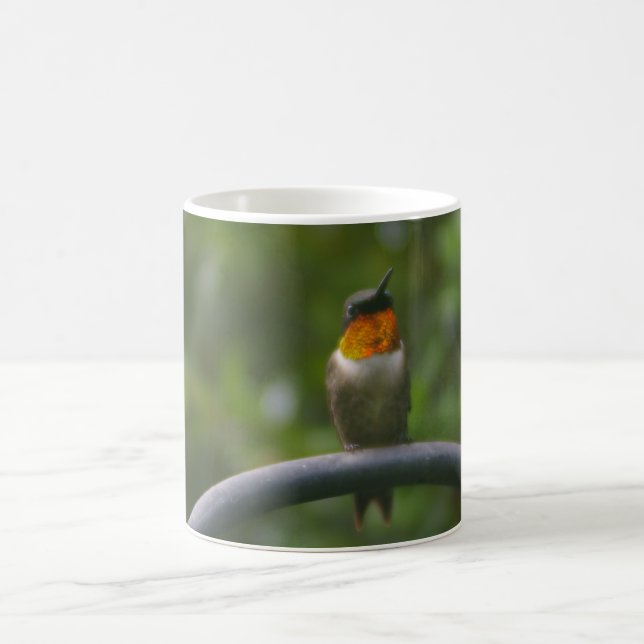 Caneca De Café Hummingbird (Centro)