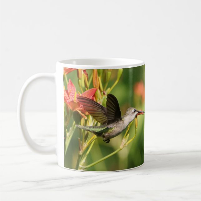 Caneca De Café Hummingbird Café Mug II por BirdingCollectibles (Esquerda)