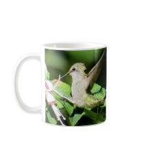 Hummingbird Coffee Mug de BirdingCollectibles