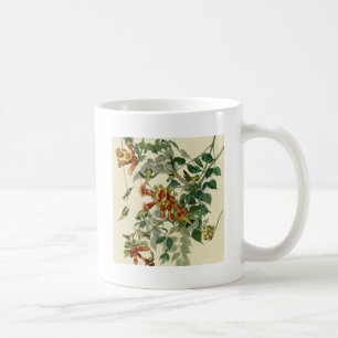 Caneca De Café Hummingbird Ruby Throbon Audubon