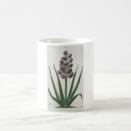 Caneca De Café Hyacinth Flower (por Johann Michael Seligmann)