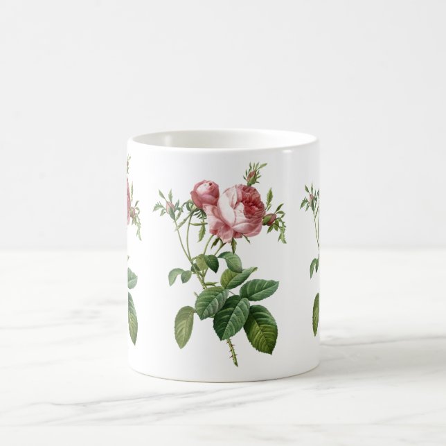 Caneca De Café Ilustração botânica rosa-rosa-vinda, Redoute (Centro)
