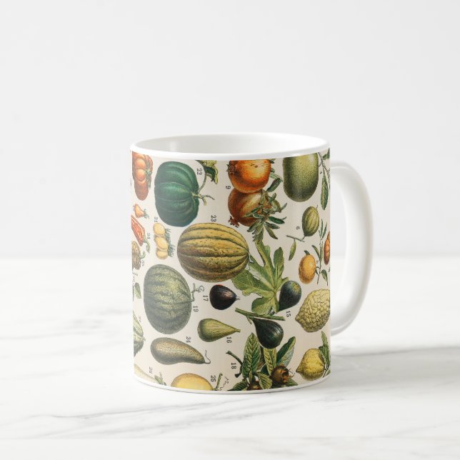 Caneca De Café Ilustração Científica Botânica Vegetal fruta (Frente Esquerda)