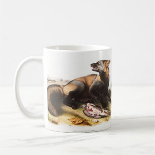 Caneca De Café Ilustração da Cruz Fox Americana (Canis vulpes)