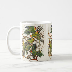 Caneca De Café Ilustração de Ave de Papagaio da Carolina de Audub