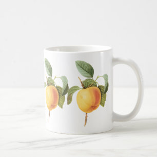 Caneca De Café Ilustração de comida de fruta antiga, maçã Calvill