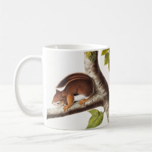 Caneca De Café Ilustração do Esquilo Columbiano de Richardson