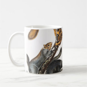 Caneca De Café Ilustração do Esquilo Gato (Sciurus cinereus)