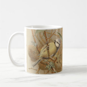 Caneca De Café Ilustração Vintage de Chapim-azul
