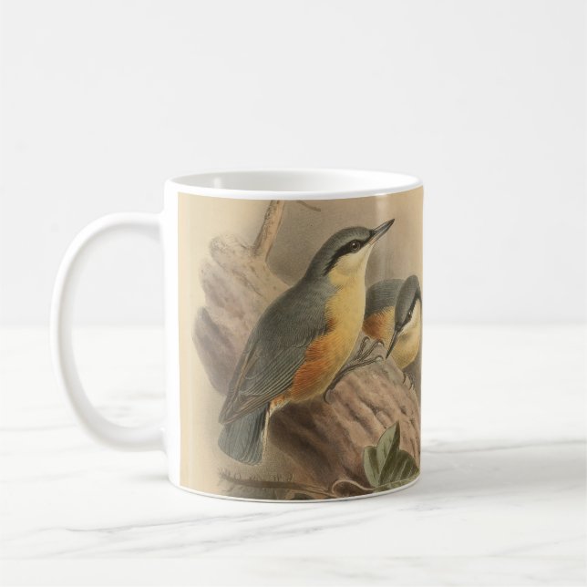 Caneca De Café Ilustração Vintage de Nuthatch (Esquerda)