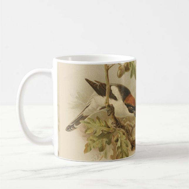 Caneca De Café Ilustração Vintage de Picanço-barreteiro (Esquerda)