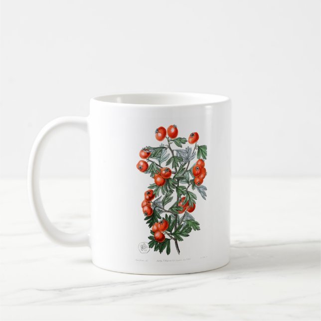 Caneca De Café Ilustração Vintage Tomato Vine (Esquerda)