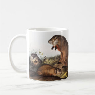 Caneca De Café Ilustração Woodchuck (Arctomys monax)