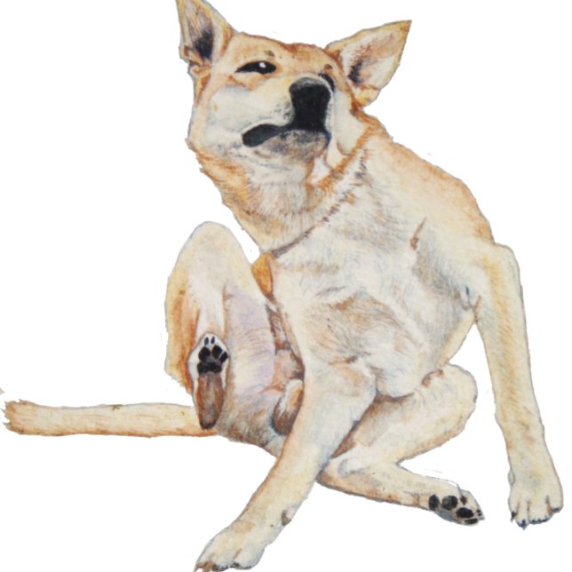 Caneca De Café imagem divertida de um cão coçando com o slogan (Criador carregado)