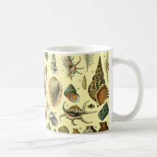 Caneca De Café Impressão de Conchas Vintage Adolphe Millot Costei