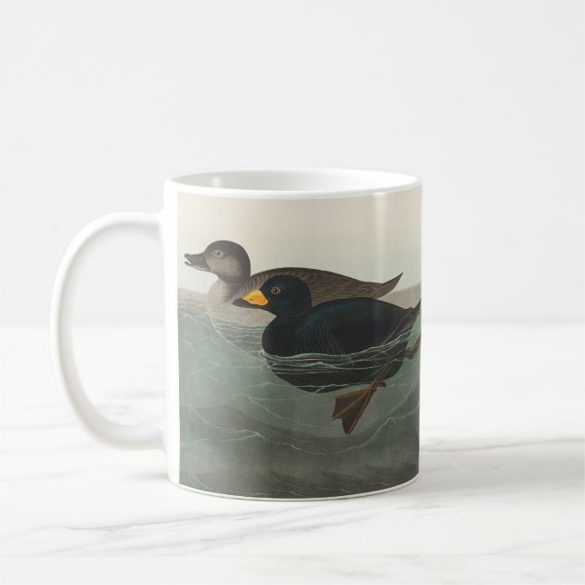 Caneca De Café Impressão do Pato-Marinho-Preto de Audubon: Pato C (Esquerda)
