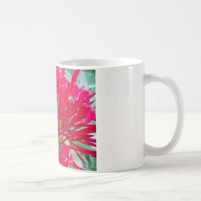 Caneca De Café Impressão/Gráfico de Linda Flor de Sangue Milkweed (Direita)