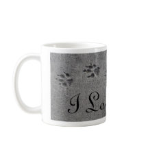 Impressões e foto da pata