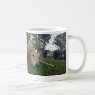 Caneca De Café indeterminado