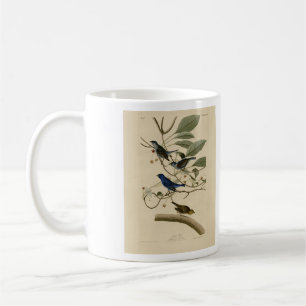 Caneca De Café Indígo Bunting das Aves da América de Audubon