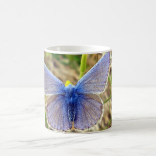 Caneca De Café Inseto de borboleta azul comum