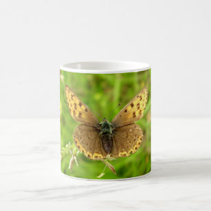 Caneca De Café Inseto De Borboleta De Cobre