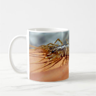 Caneca De Café Inseto Scutigera Coleoptrata