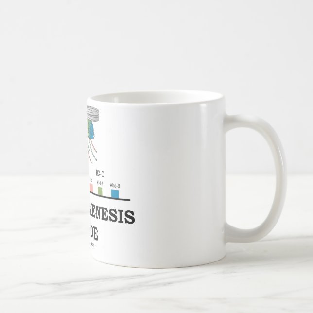 Caneca De Café Interior da morfogênese (genes da drosófila da (Direita)