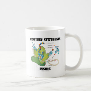 Caneca De Café Interior da síntese da proteína (biologia celula
