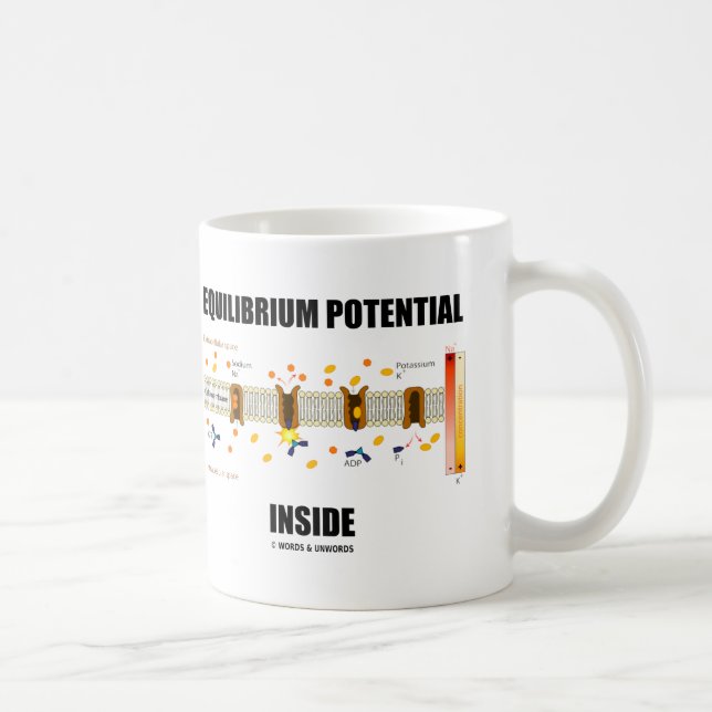 Caneca De Café Interior do potencial do equilíbrio (transporte (Direita)
