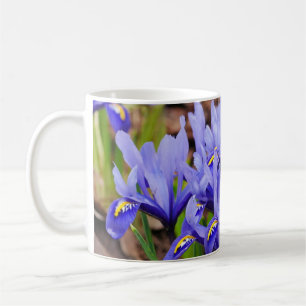 Caneca De Café Iris Flowers Mug