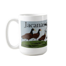 Jacanas do mundo