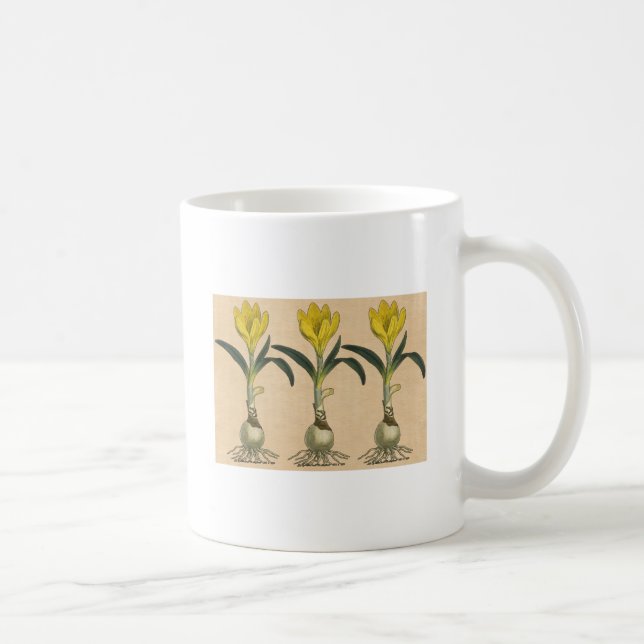 Caneca De Café Jardim Botânico de Tulipa Amaryllis Flor (Direita)