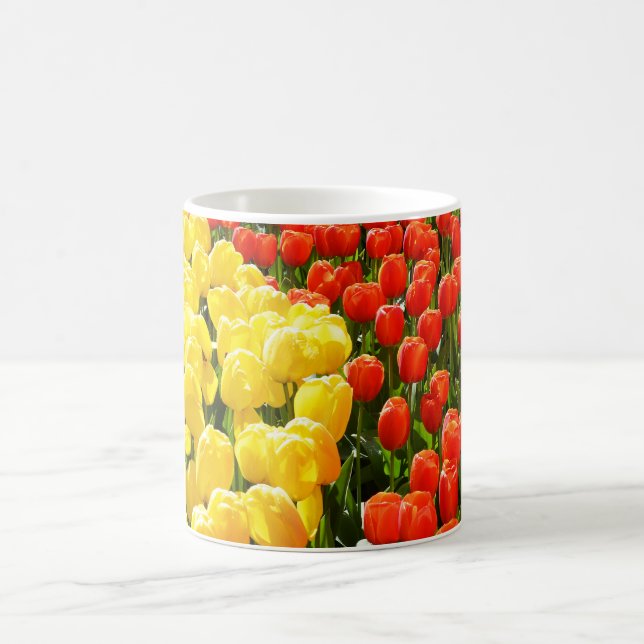 Caneca De Café Jardim das Tulipas (Centro)