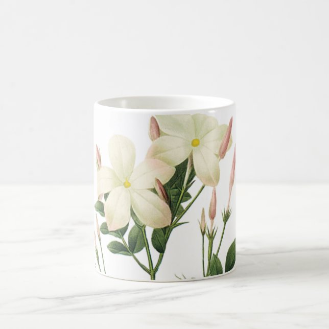 Caneca De Café jasmine (Jasminum grandiflorum) por Redouté (Centro)