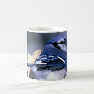 Caneca De Café Jay azul bonito