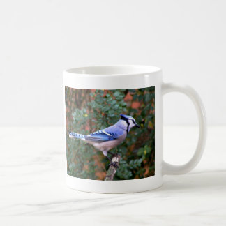 Caneca De Café Jay azul lindo