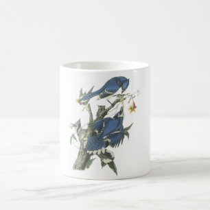 Caneca De Café Jay azul por Audubon