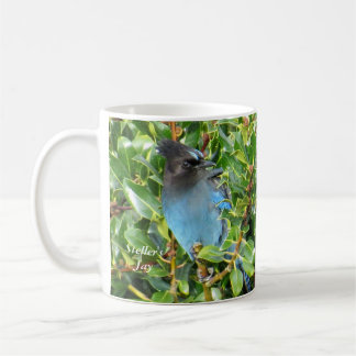 Caneca De Café Jay Mug de Steller por BirdingCollectibles