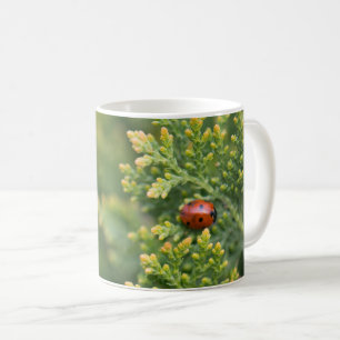 Caneca De Café Joaninha
