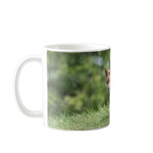 Jogo do Fox vermelho