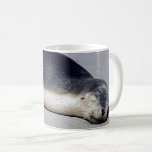 Caneca De Café Jovem foca dormindo na praia - Austrália
