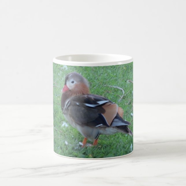 Caneca De Café Jovem Mandarin Duck Mug (Centro)