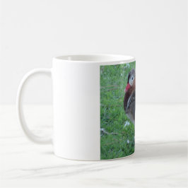 Caneca De Café Jovem Mandarin Duck Mug
