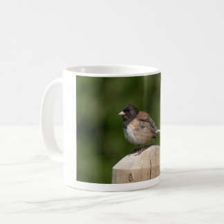 Caneca De Café Junco de Olhos Escuros – Fotografia de Aves de Art