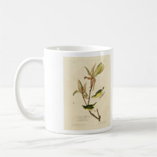 Caneca De Café Kentucky Warbler das Aves da América de Audubon